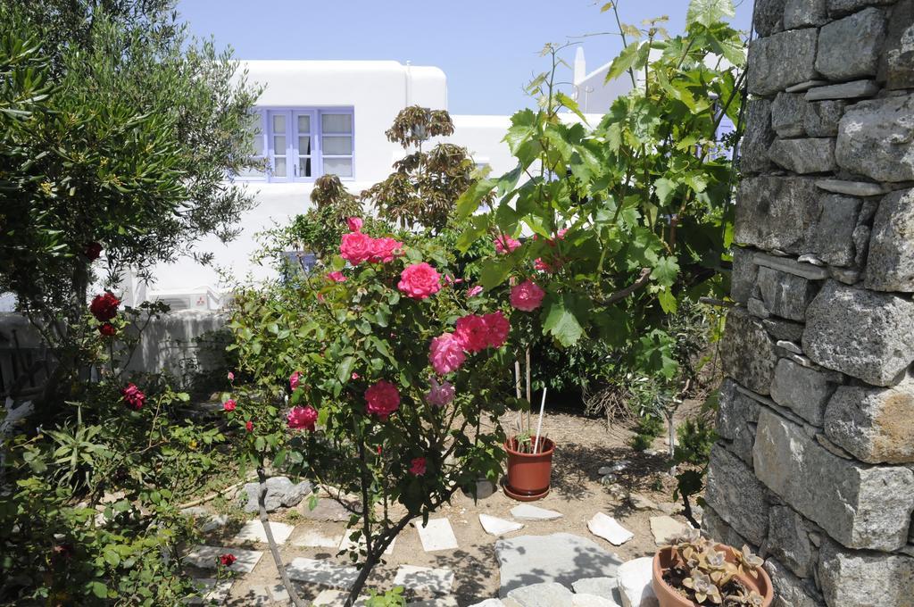 Andriani'S Guest House Mykonos Town Экстерьер фото